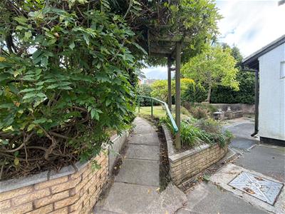 Picture 20